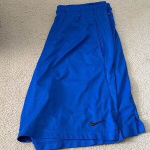 Nike Dri-Fit Blue Athletic Shorts